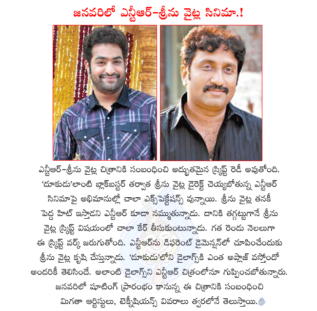 ntr next movie details,ntr and srinu vytla combo movie,script ready for ntr next movie,ntr and srinu vytla combo movie producing ganesh babu,ntr in dammu shooting  ntr next movie details, ntr and srinu vytla combo movie, script ready for ntr next movie, ntr and srinu vytla combo movie producing ganesh babu, ntr in dammu shooting